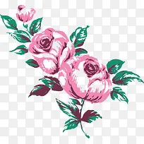 矢量玫瑰插图