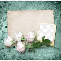 白玫瑰背景相框
