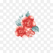 玫瑰花插图