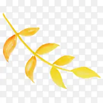 黄色水彩植物叶子