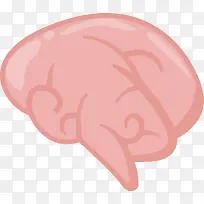 粉色大脑脑花免抠素材