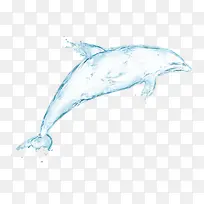 白色鲸鱼