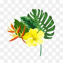 热带植物花卉矢量图