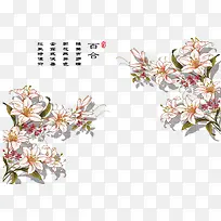 百合背景墙