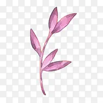 紫色的嫩芽