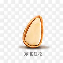 东北红松