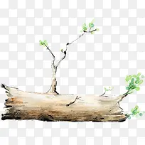 绿叶枯树