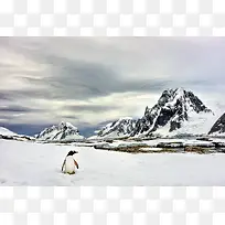 乌云下雪山小企鹅