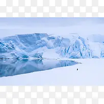 南极雪山冰面企鹅背影图