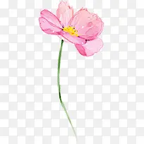 粉色手绘花卉水彩画