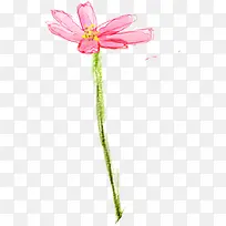 粉色花卉水彩画图片