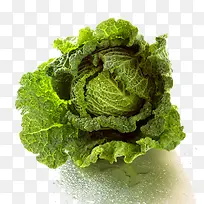 白菜
