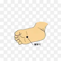 涌泉穴足底图