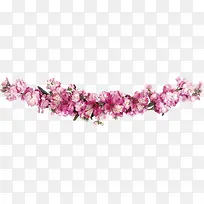卡通手绘花朵装扮