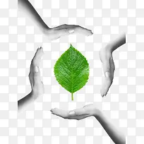 手掌呵护的树叶绿色环保理念