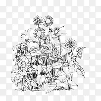 绘画素描向日葵海报