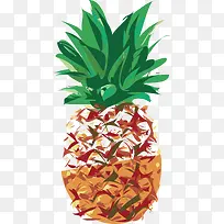 矢量菠萝