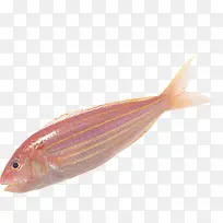 红鳞鲜鱼