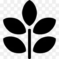植物分叶图标