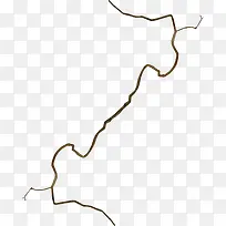 棕色漂亮枯枝