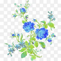 清新蓝色玫瑰绿叶