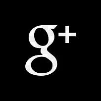谷歌加广场标志图标