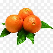 新鲜橙子蔬菜水果海报