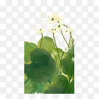 中国风荷花