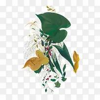 绿色植物