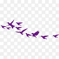 紫色飞翔喜鹊