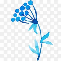 漂浮花