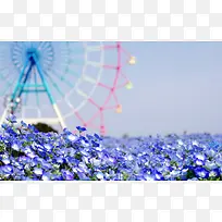 紫色花海游乐场海报背景