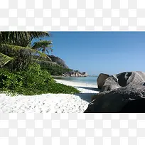 椰树礁石海边沙滩