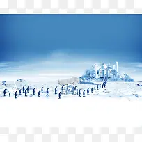 北极成群成对的企鹅