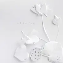 白色剪纸的莲花图