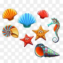 彩色贝壳和海螺