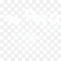 白色花卉冬之韵海报