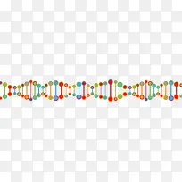 可爱炫彩DNA矢量图