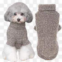 狗狗衣服泰迪毛衣
