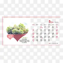 白色心形多肉植物2018年5月台历