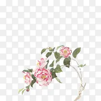 山茶花水彩画