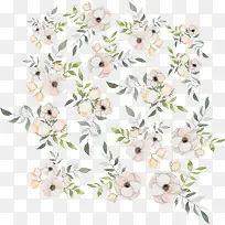 浪漫白色山茶花
