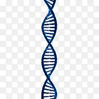DNA免抠素材