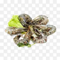 海捕大对虾
