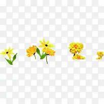 教师节专题元素黄色的花朵
