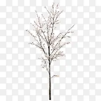 白色樱花树装饰