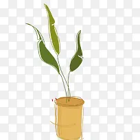 矢量艺术绘画植物