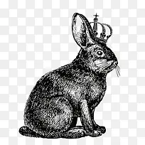 王冠兔子