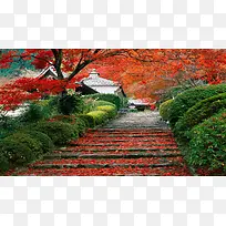 日本京都花园风景