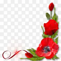 红色花卉装饰图案